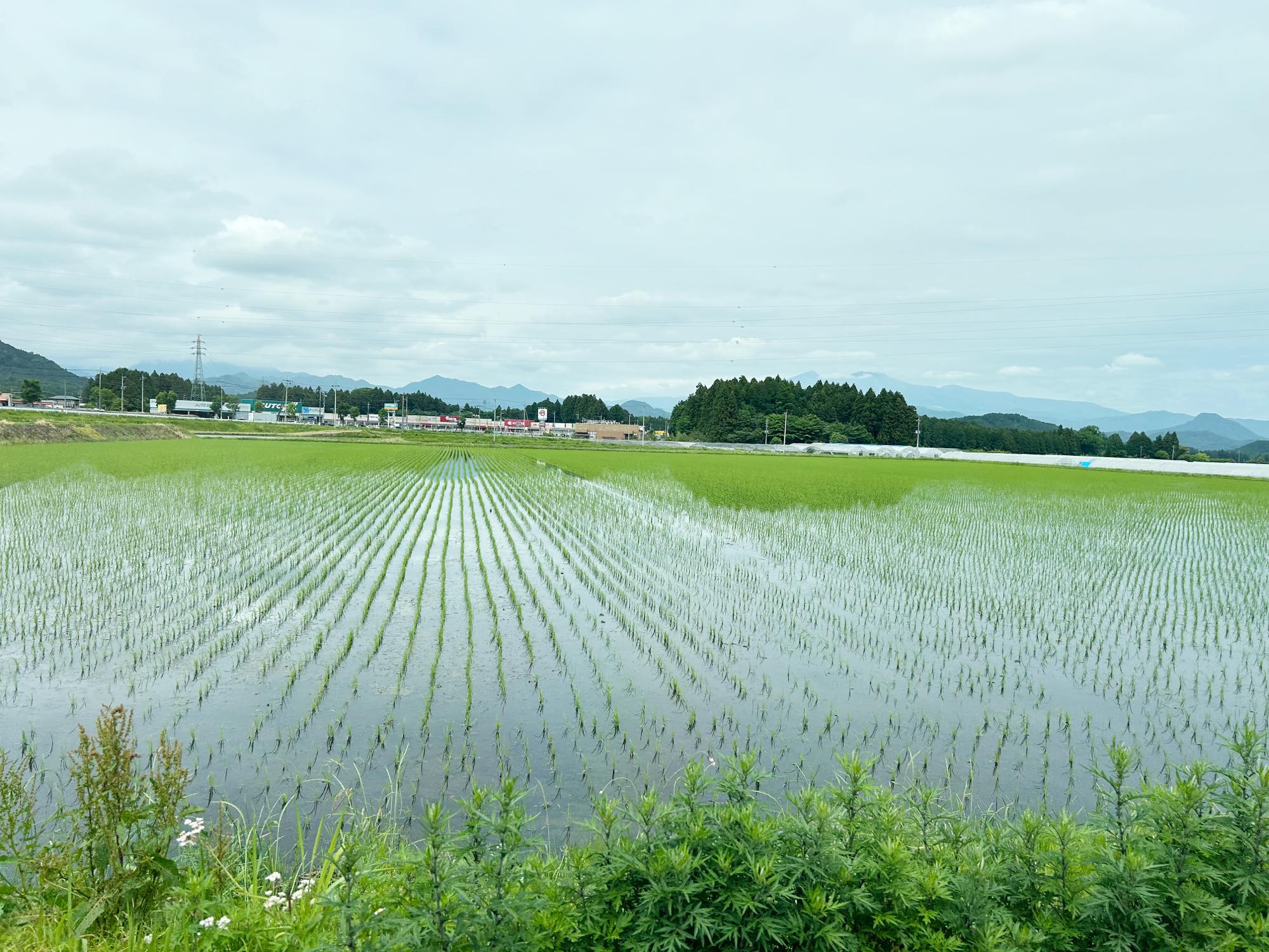 【栃木】日光ストロベリーパークから下道で矢板へ